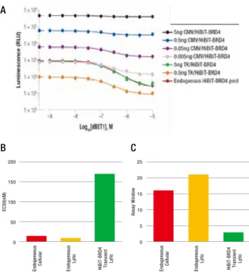 図 .2  β 2- adrenagic receptor （ ADRB2 ）のエンドサイトーシス