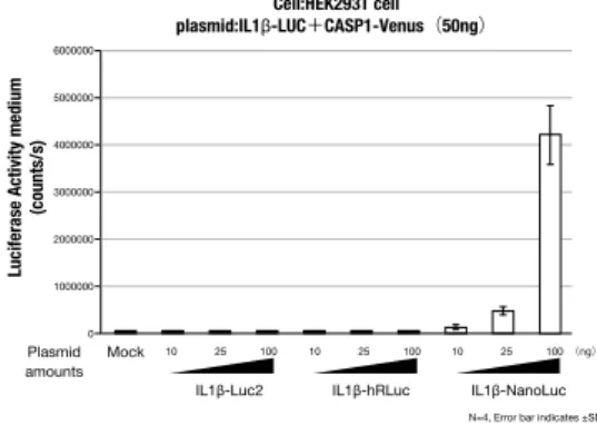 図 2.  ルシフェラーゼ融合 IL1 β 発現細胞の培養液内でのルシフェラーゼ活性 HEK293T 細胞に各ルシフェラーゼ遺伝子を融合させた IL1 β 発現ベクターと Casp1-Venus 発現ベクターを遺伝子導入し、 48 時間ごとに培養液を回収してルシファラーゼアッセイ を行った。 IL1 β -NanoLuc ® を遺伝子導入した細胞の培養液でのみ発現ベクター量依存的 な発光の上昇を確認することができた。