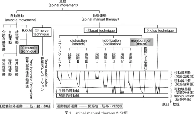 図 1　spinal manual therapyの分類