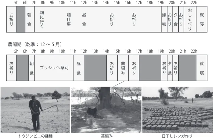図 2-6　ファカラ地域のザルマ男性の日課（農繁期・農閑期）トウジンビエの播種藁編み 日干しレンガ作り 図 2-7　Bo 村、MKZ 村男性の畑栽培作物（2008）雨季と乾季の生業の違い　図2-6は、ファカラ地域のザルマ男性の日課を農繁期にあたる雨季から収穫期（6～11月ごろ）と農閑期にあたる乾季（12～5月）に分けて記したもので、これはボクサイ村（以下Bo村）とマウレイ・クワラ・ゼーノ村（以下MKZ村）のザルマ男性に対する聞き取り調査から明らかになったものである。農繁期の日課からも分かるとおり、日中のほと