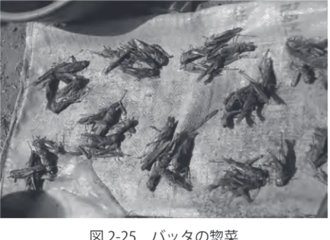 図 2-26　ござを編む女性（Bo 村）て回り、早朝の礼拝から就寝までほとんど休む暇なく働いていることがわかる。女性の場合は乾季も同様に多忙で、村によっては野菜栽培に日中の大半の時間を取られる場合もある。しかし農繁期の雨季と比較すると所々で時間的な余裕があるのが見て取れる。この余暇の時間の使い方は様々であるが、Bo村の女性はこの時間を菜園の水遣りやござ作りなどの現金収入創出活動に回しており、まさに寸暇を惜しむように働いている。Dan村の女性も雨季の収穫が終わると同時に野菜栽培の準備に入り、空いている時間をみ