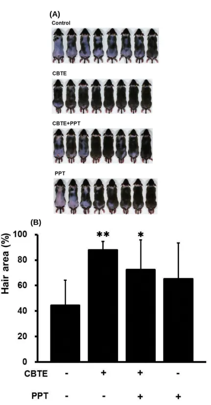 Figure  9.  Effect  of  ER  selective  agonist  PPT  on  hair  growth-promoting  effect  of  CBTE  in  C3H/He  mice