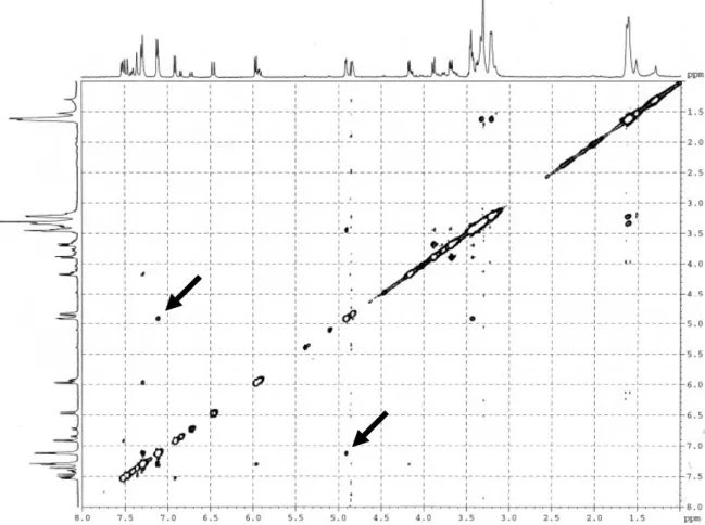 図 8. 化合物 1 1 1 1 の NOESY スペクトラム． H 3' および H 5' ( 7.10 ppm )とアノメ リックプロトン( 4.90 ppm )のクロスピークを矢印で示す． 