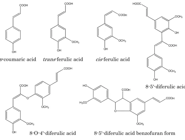 図 12. とうもろこしの diferulic acids の化学構造． ホルダチン類の化学構造 に類似する 8-5'-diferulic acid benzofuran form が示されている．この図は，