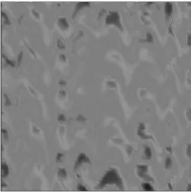 Fig. 2. Snap shot of density perturbation in a fixed  theta position. 