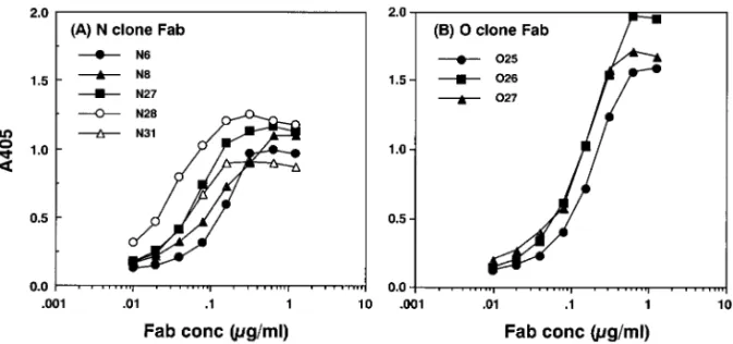 Fig. 9. Reactivity of Anti-human Rotavirus Recombinant Fab Clones against HRVWa遺伝子ライブラリーを構築した．2 つのライブラリー N 及び O のサイズは，それぞれ 2.5×107及び4.0×106cfu であった．3-3.抗ロタウイルスリコンビナント Fab の選択得られた抗体遺伝子ライブラリーを大腸菌に導入し，ヘルパーファージを感染させることにより，抗体提示ファージライブラリーとした．ロタウイルス特異的 Fab を発現するフ