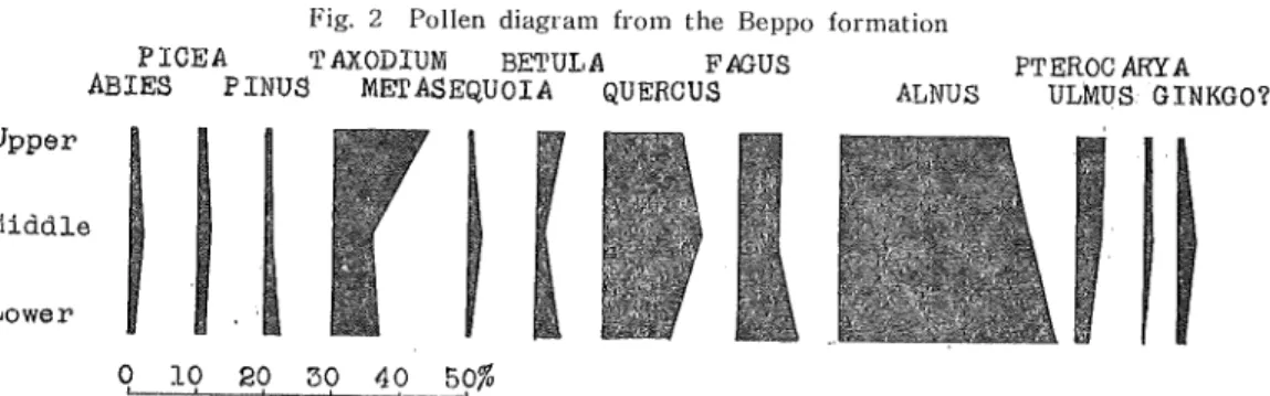 Fig. 2 Pollen diagram from the Beppo formation