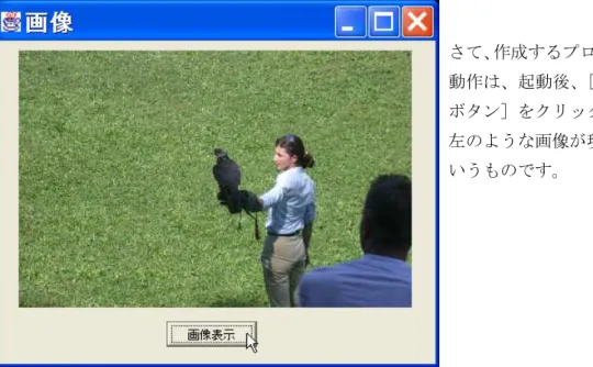 Fig フォルダ内にある Falcon.jpg ファイルという意味です。Eclipse3.4 以前を使 用している場合は「¥」とキーインすると（使用している文字フォントの関係で）「\」 と表示されますので注意してください。さて、本来は「¥」記号は一つでフォルダの区 切りを意味するのですが、これは特別な意味を持つ制御記号でもあるので、文字列定数 の中で「¥」を表したい場合は「¥¥」のように二つ続けて記述しなければなりません。さて、作成するプログラムの動作は、起動後、［画像表示ボタン］をクリックすると、左のよう