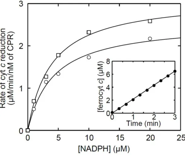 Figure  5. Reduction  kinetics  of  CPRs  for  ferricytochrome  c.  The  inset  shows  time  course  of  ferrocytochrome  c  production  by  WT-CPR  with  20  M  NADPH