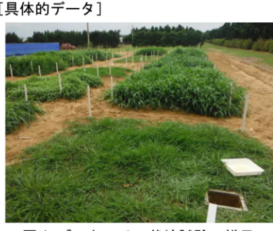 表 1  各ブラキアリア栽培 18 ヶ月後の株間土壌にお ける植物根量および根圏分泌物と根組織中 BNI 活性  図 2 ブラキアリアを 18 ヶ月間 栽培後の株間土壌における硝 化速度の品種間差  異なるアルファベットは 5%水準で 有意差があることを示す 図 3 ブラキアリア栽培による AOB および AOA の増減量と硝化速度の関係  AOB：アンモニア酸化細菌、AOA：アンモニア酸化古細菌図 1 ブラキアリア栽培試験の様子 ATU:アリルチオ尿素換算単位(0.22μM のアリルチオ尿素による硝化抑制