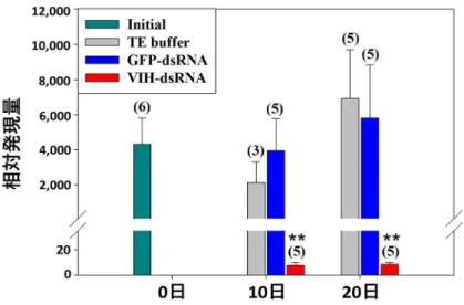 図 2 VIH-dsRNA 注射による SGP-G 遺伝子発現の抑制 