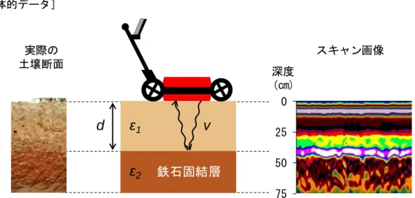 図 1 地中レーダーによる鉄石固結層の検出（模式図）  比誘電率( ε )が大きく異なる土層があった場合、地中レーダーはその境界を検出できる（左図、中図） 。境界の 深度( d )は電磁波の速度（ v ）と往復時間から計算される。境界はスキャン画像（右図）の中では強い反射（紫～ 白）として現れる。本研究では 300 と 800 MHz の 2 アンテナを有するレーダーを用いた。     ［その他］  研究課題：サブサハラアフリカの土壌侵食危険地域における集約型流域管理モデルの構築  プログラム名：開発途上地
