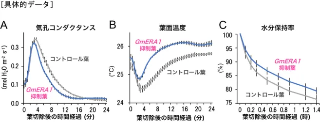 図 1 GmERA1 遺伝子の発現を抑制したダイズ葉における乾燥ストレス応答  GmERA1 組換えウイルスに感染したダイズ葉における、葉切除後の気孔コンダクタンス   (A) 、葉面温度   (B) 、お よび水分保持率  (C)  の経時的な変化。エラーバーは標準偏差  (n = 3 から 6)。図は Ogata et al