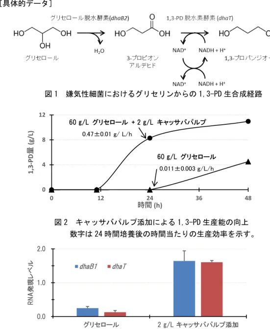 図 1  嫌気性細菌におけるグリセリンからの 1,3-PD 生合成経路        図 2  キャッサバパルプ添加による 1,3-PD 生産能の向上      数字は 24 時間培養後の時間当たりの生産効率を示す。  0.01.02.0 グリセロール 2 g/L キャッサバパルプ添加RNA発現レベルdhaB1dhaT