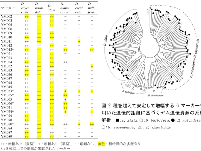 表 1 種間の系統関係の調査に有効なマーカー 
