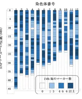 図 3  アフリカイネとアジアイネで多型を示す PCR ベースマーカーの頻度 