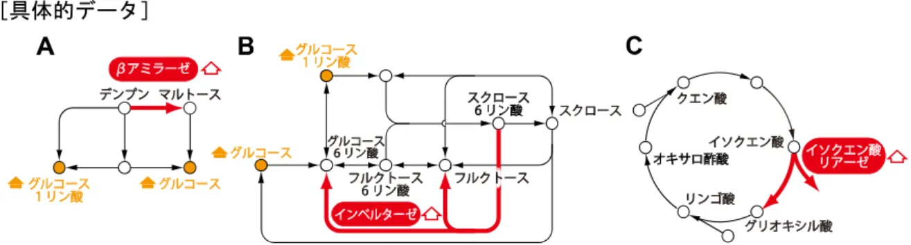 図 2  乾燥ストレス環境下におけるアブシシン酸生合成経路とサイトカイニン生合成経路の遺伝子 発現と植物ホルモンの蓄積。 