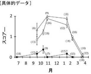 図 4  大量死発生前後のハイガイ消化盲嚢上皮の状態 写真は、正常：正常状態、一部：一部に盲嚢上皮の 扁平化（矢印）、広範：広範な上皮の扁平化（矢印）。 グラフは大量死発生後に盲嚢上皮が扁平化した個 体数の増加を示す。 図 1  肉眼観察によるハイガイの生殖腺部位の肥大状況   スコアー、0：未発達、1：やや発達、2：顕著に発達、括弧内の数字は観察個体数、グラフ結果は、調査点 2 と 3（○と△）で生殖腺の顕著な発達が 11 月以降に見られるのに対し、調査点.1（●）では発達が見られない。平均値の誤差範囲は
