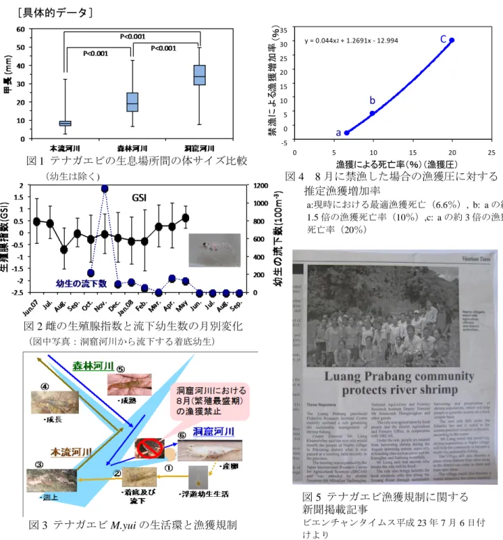 図 1  テナガエビの生息場所間の体サイズ比較       （幼生は除く)  図 2 雌の生殖腺指数と流下幼生数の月別変化  （図中写真：洞窟河川から流下する着底幼生）［具体的データ］  ［その他］  研究課題：インドシナ農山村における農家経済の持続的安定性の確立と自立度向上  プログラム名： 開発途上地域の農林漁業者の所得・生計向上と、農山村活性化のための技術の開発 予算区分：交付金［インドシナ農山村］  研究期間：2011 年度（2006～2011 年度）  研究担当者：伊藤  明  (JIRCAS)・