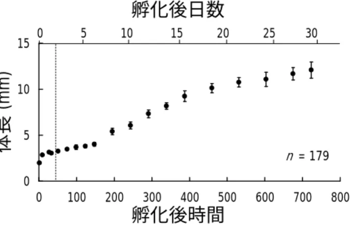 図 4 Hypsibarbus malcolmi 仔稚魚。a  孵化直後の仔魚