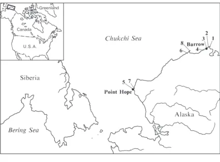 Figure 3  Locations of sites visited in Alaska in relation to the present study   (from Savelle and McCartney 1998)