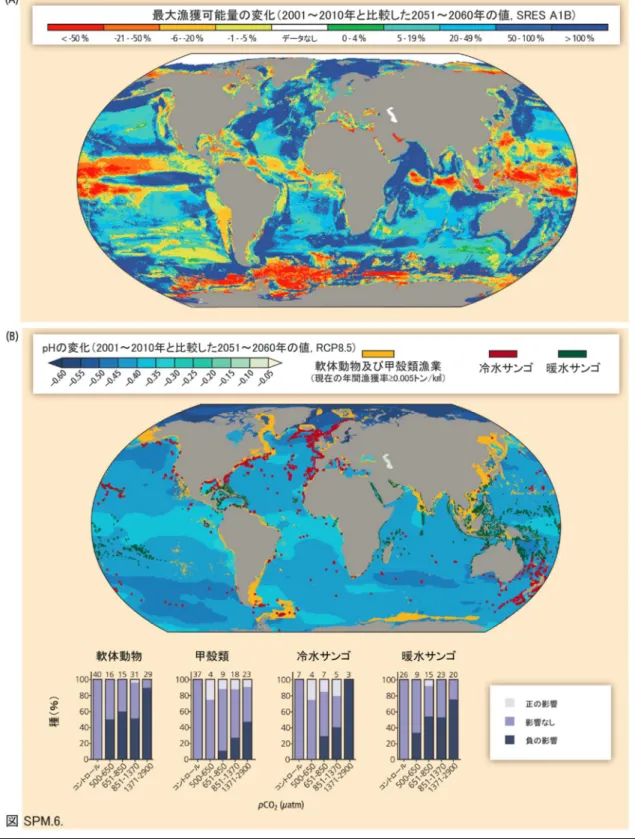 図 SPM.6.:  漁業についての気候変動リスク。（A）～1000種の魚類及び無脊椎動物の最大漁 獲可能量世界再分布予測。予測は、乱獲または海洋酸性化の潜在的影響分析は行わず、 SRES  A1Bを使用し、2001～2010年及び2051～2060年の10年平均を比較した。（B）RCP8.5（1986 ～2005年から2081～2100年のpH変化）下での海洋酸性化の予測分布を示す世界地図に示さ れた海洋軟体動物と甲殻類漁業（現在の推定年間漁獲率≥0.005トン／km 2 ）及び既知の暖水 サンゴ及び冷水