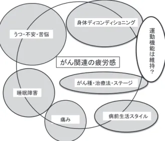 図 1 CRF の発症に関係する要因 （図 2）． 近年，これらの相互関係の中で， CRF の発症は「炎症」 がベースにあると推測されるようになった．LaVoy ら は，がん発症部位や補助療法の副作用により末梢部や全 身性に炎症が発生し，炎症部の白血球の活性化とこれに 関わる生理活性物質であるサイトカインが生成され，免 疫機構の変動・調整過程をへて，活性化された蛋白分子 が神経伝達物質により脳に送達され，脳幹部で再び各種 のサイトカインが活性化し脳が「疲労」を認識する，と 推論している（図 3）． その他に