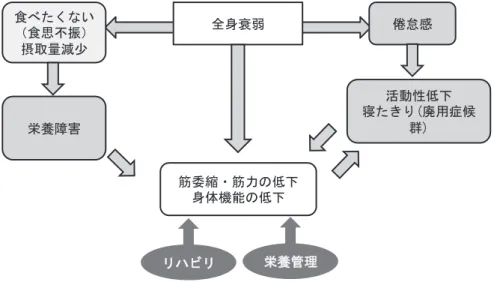 図 2 全身衰弱と筋肉の萎縮・筋力低下の関係 21） 図 3 末梢部や全身性の炎症から脳で CRF を認知（文献 15 を改変） が，運動開始時期，運動種類，運動期間，運動強度など のコンセンサスは得られていない ２） ２４） ． エクササイズが， がん発症予防に有効である ３２） ，との研究を参考に私見を 述べる．継続性（アドヒアランス）を考慮すれば，ウオー キング等の有酸素運動を週に 5 日以上，少なくとも 30 分間を可能ならば規則的に，そして，骨格筋の筋収縮に よる生理活性物質の効用を考慮すれば，で