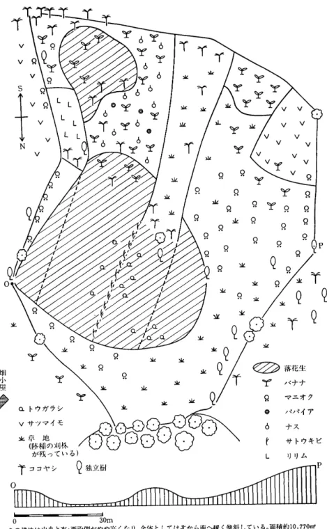 図 １ Ｆ 氏 の 耕 地
