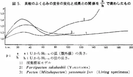 図 5 賊のふくらみの度合の愛化と成長との関係を去で表わしたもの ~  j/  1  1  / "  ̲̲̲ 、.3-/ ̲ ̲   1 . 331  l  J;/'/...‑ _.一六、 、:.....