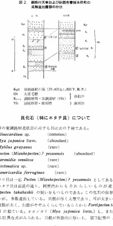図 2 . 釧路村天寧および釧路市春採永住町の 貝類産出露頭の柱状 火 事 ' ;" 1  1 側i K l J t I  I 、 J 、/、 l 1 ， 、，、 ，、 I Kρt  K .  。 t ,"  ] 0  T  一一 国 ， K ,  K ,  ￨ ￨ /  | 二 ̲ . -- 一 二 ￨  K ‘  。 Yb  Kpt  hr! 斜路料::( Îì~~  (29 ， 400 土 lr800Y