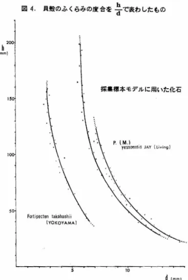 図 4 貝般のふくらみの度合を与で表わしたもの