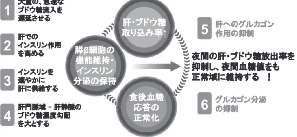 図 4 食後高血糖を改善するために，肝・ブドウ糖取り込み率を高める 6 条件とは？1ٻ᣽ỉẆ࣯ᡮễἨἛỸኄ්λử᡿ࡨẰẶỦᏁỂỉỶὅἋἼὅ˺ဇ2ử᭗ỜỦỶὅἋἼὅửᡮởẦỆᏁỆ̓ዅẴỦ3ᏁᧉᏦ؏ 㘜 Ꮑ᩺ᏦỉἨἛỸኄຜࡇѷᣐửٻểẴỦ4 ٸ᧓ỉᏁὉἨἛỸኄ્Јྙử৮СẲẆٸ᧓ᘉኄ͌ửờദࠝ؏ỆዜਤẴỦ ὲ⫢䞉䝤䝗䜴⢾ྲྀ䜚㎸䜏⋡Ĺ⮅ȕ⣽⬊䛾ᶵ⬟⥔ᣢ䞉䜲䞁䝇䝸䞁ศἪ䛾ಖᣢ㣗ᚋ⾑⢾ᛂ⟅䛾ṇᖖ໬5ᏁồỉἂἽỽἆὅ˺ဇỉ৮С6ἂἽỽἆὅЎඣỉ৮СίඕႮᨙᡯᾉᵐᵎᵎᵔ࠰ଐஜኄބ၏ܖ˟ἡὊἄἛὊὅចӖចᜒ๫Ẑḛኄỉễầủ