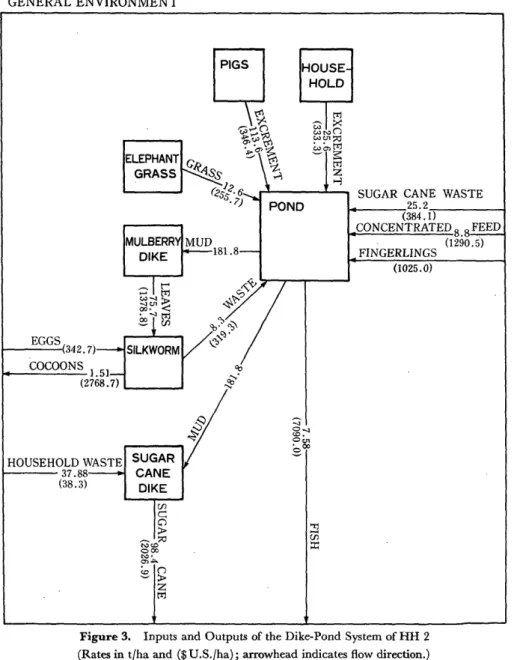 Figure  3.  Inputs  and  Outputs  of the  Dike-Pond  System of  HH  2  (Rates  in  t/ha  and  ($  U.S./ha);  arrowhead  indicates  flow  direction.)