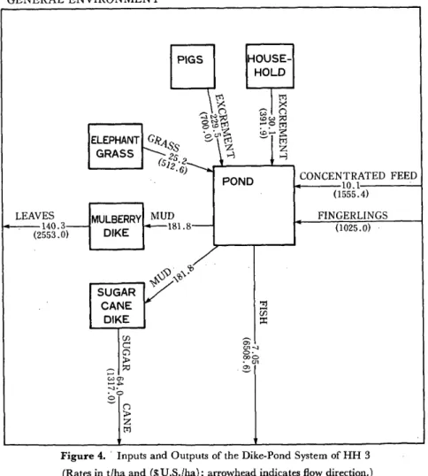 Figure  4.  Inputs  and  Outputs  of the  Dike-Pond  System  of  HH  3  (Rates  in  t/ha  and  ($U.S./ha);  arrowhead  indicates  flow direction.)