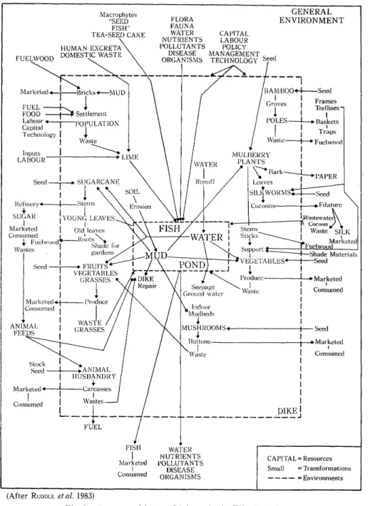 Fig  2.  Energy  and  Matter  Linkages  in  the  Dike-Pond  System
