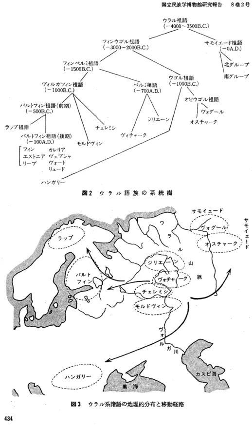 図 ２  ウ ラ ル 語 族 の 系 統 樹