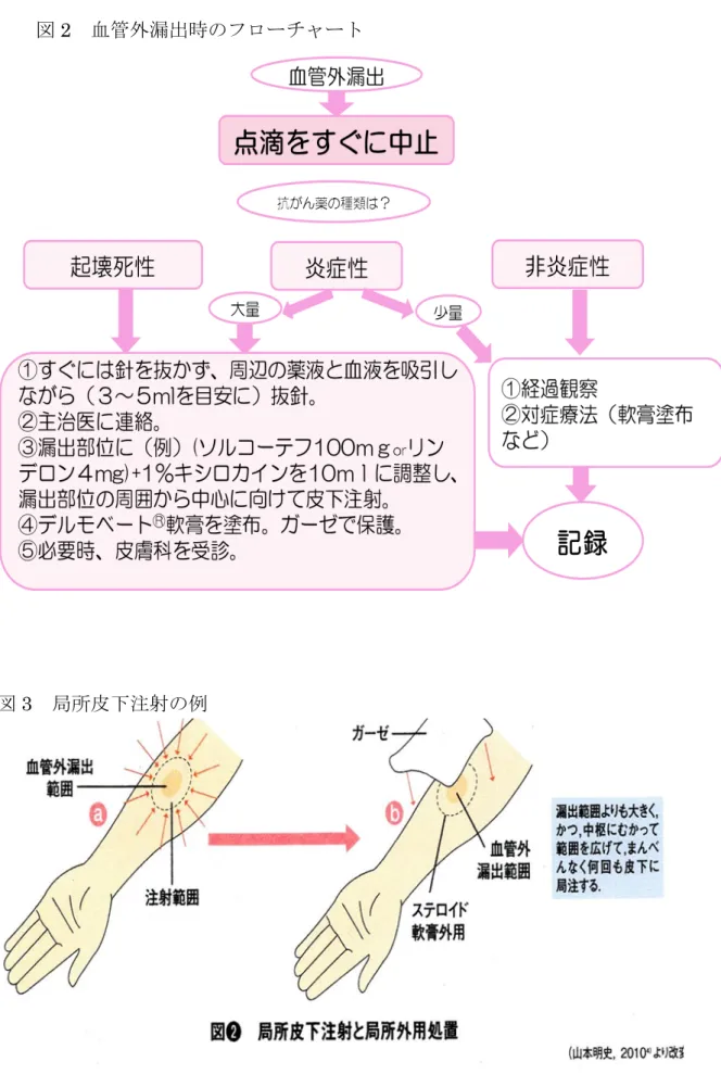 図 3  局所皮下注射の例 