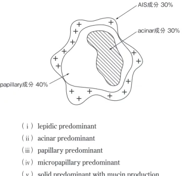 図 1AIS成分 30％