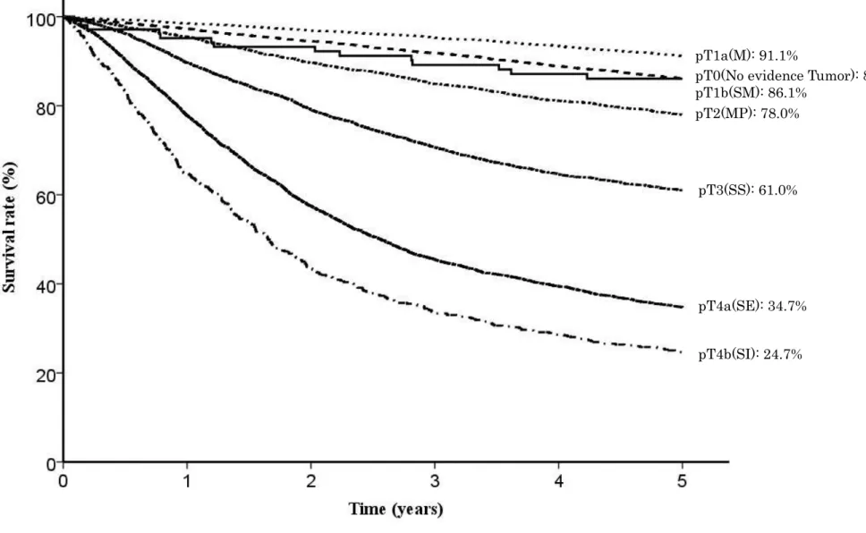Fig. 9. Five year survival rates stratified by depth of tumor invasion 