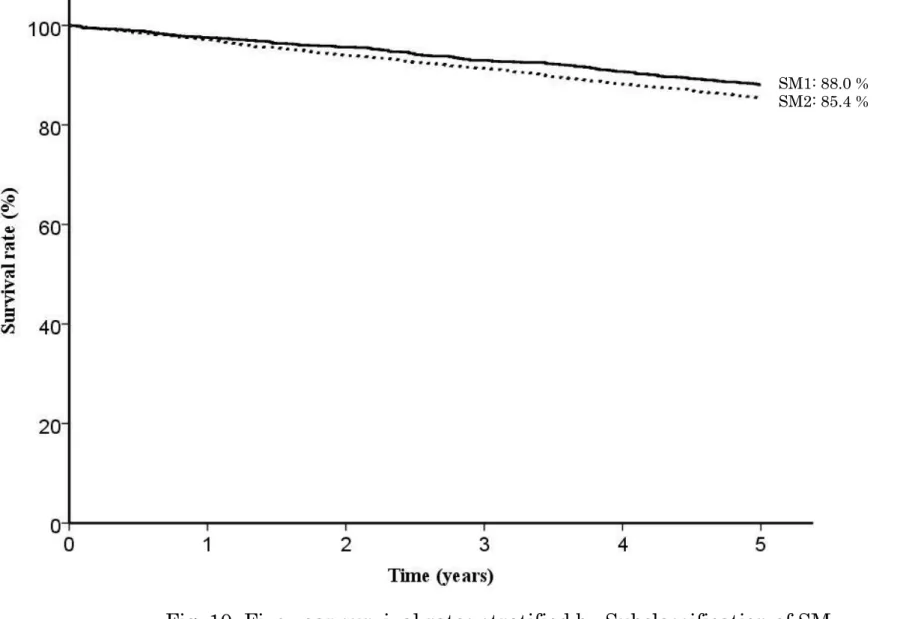Fig. 10. Five year survival rates stratified by Subclassification of SM