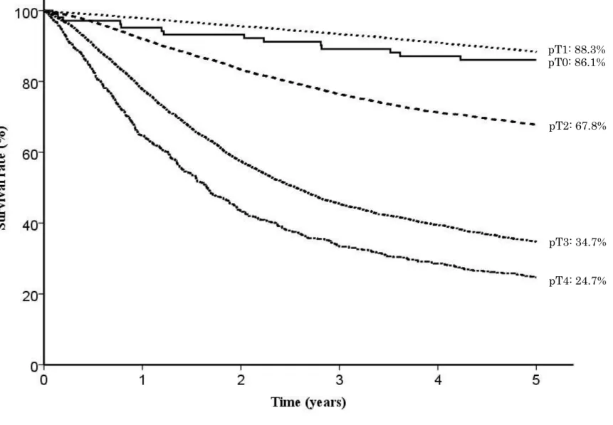 Fig. 11. Five year survival rates stratified by pT classification    