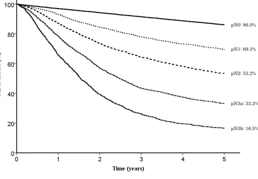 Fig. 12. Five year survival rates stratified by lymph node metastasis 
