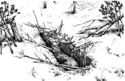 Figure 7  Reconstruction of a trap-pit and fence system. (Drawing by A. Kuhterin)