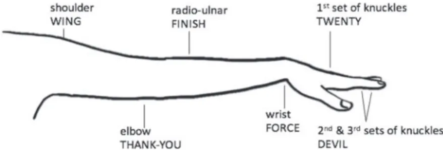 Figure 11-2   Examples of ASL signs whose movement originates from activation of joints  along the arm and hand (Chen Pichler et al