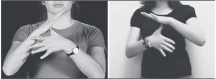 Figure 11-3   Mirror error in reproduction of the ASL sign SENIOR  by an L2 signer of ASL (right panel)