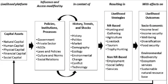 Figure 1  Modified sustainable livelihoods framework (adapted from Scoones 1998; Ellis 2000).