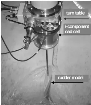 Fig.  3.2.4    Immersion of rudder model. 