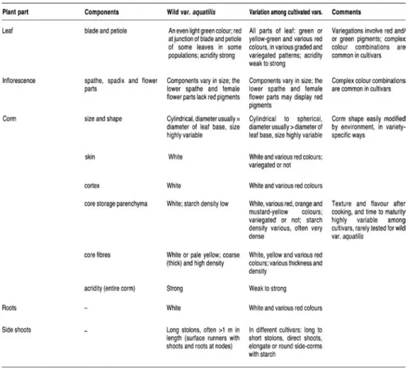 Table 1 Phenotypic variation in taro: summary for different plant parts in wild-type taro and cultivated  varieties (from Matthews 1995)