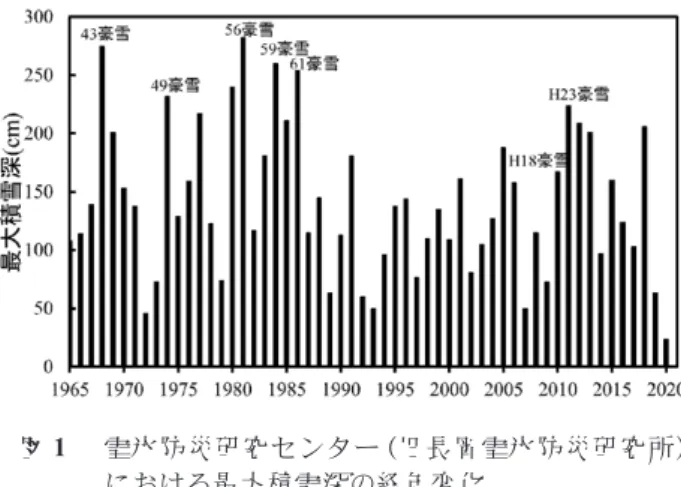 Fig. 1  Time series of the annual maximum snow depth at  the SIRC．